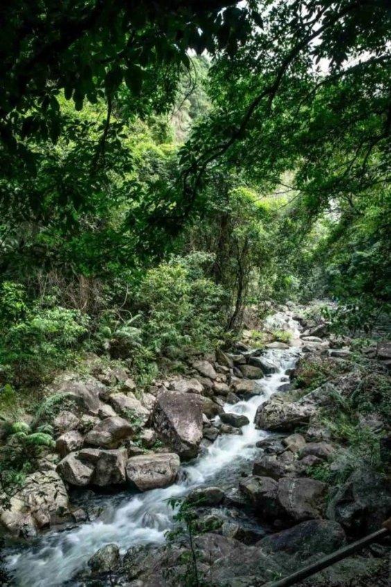拯救小松鼠