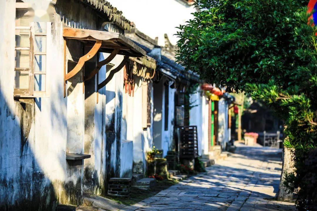 三小只僵尸的游戏时间2